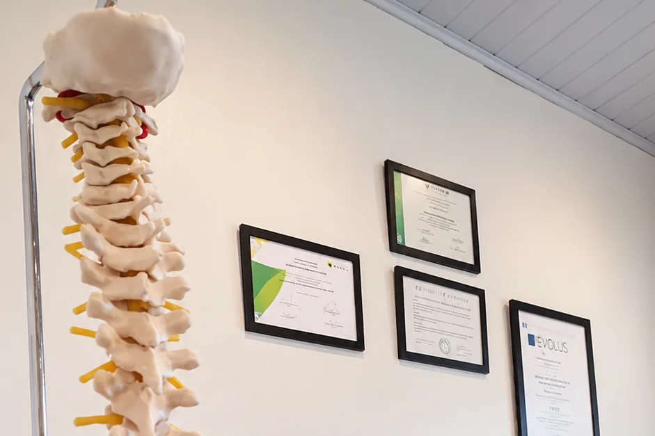 Modelo anatômico de coluna vertebral em uma das salas de atendimento da QualiPraxis